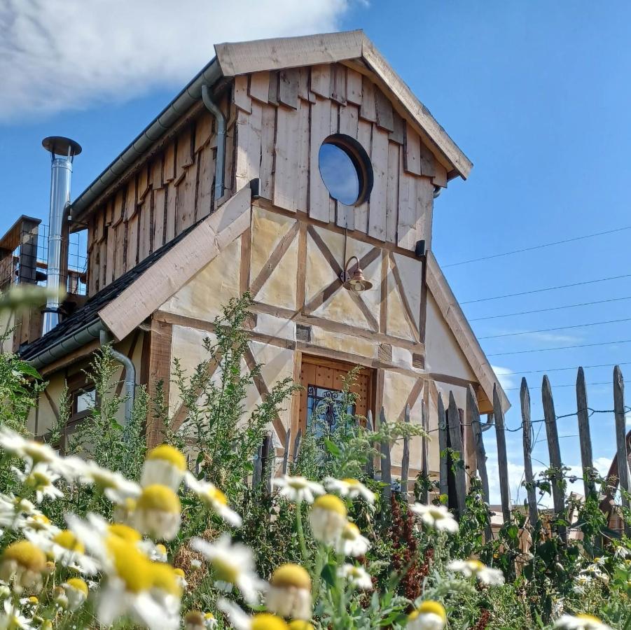 La Cabane Du Coing วิเซ ภายนอก รูปภาพ