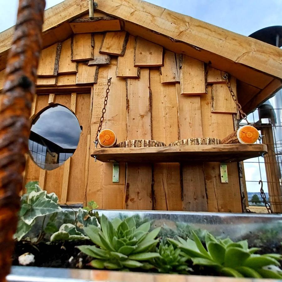 La Cabane Du Coing วิเซ ภายนอก รูปภาพ